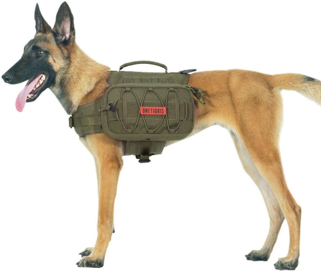 Best Hike Dog Harness