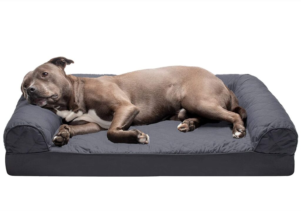 orthopedic dog bed