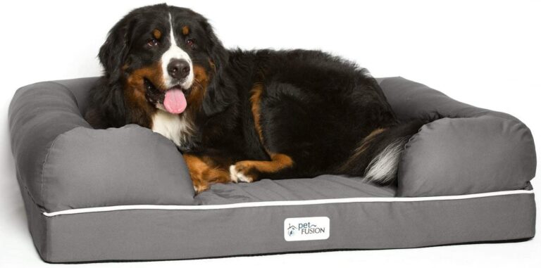 best orthopedic dog bed