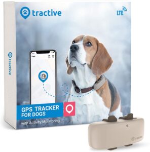 Best dog tracker