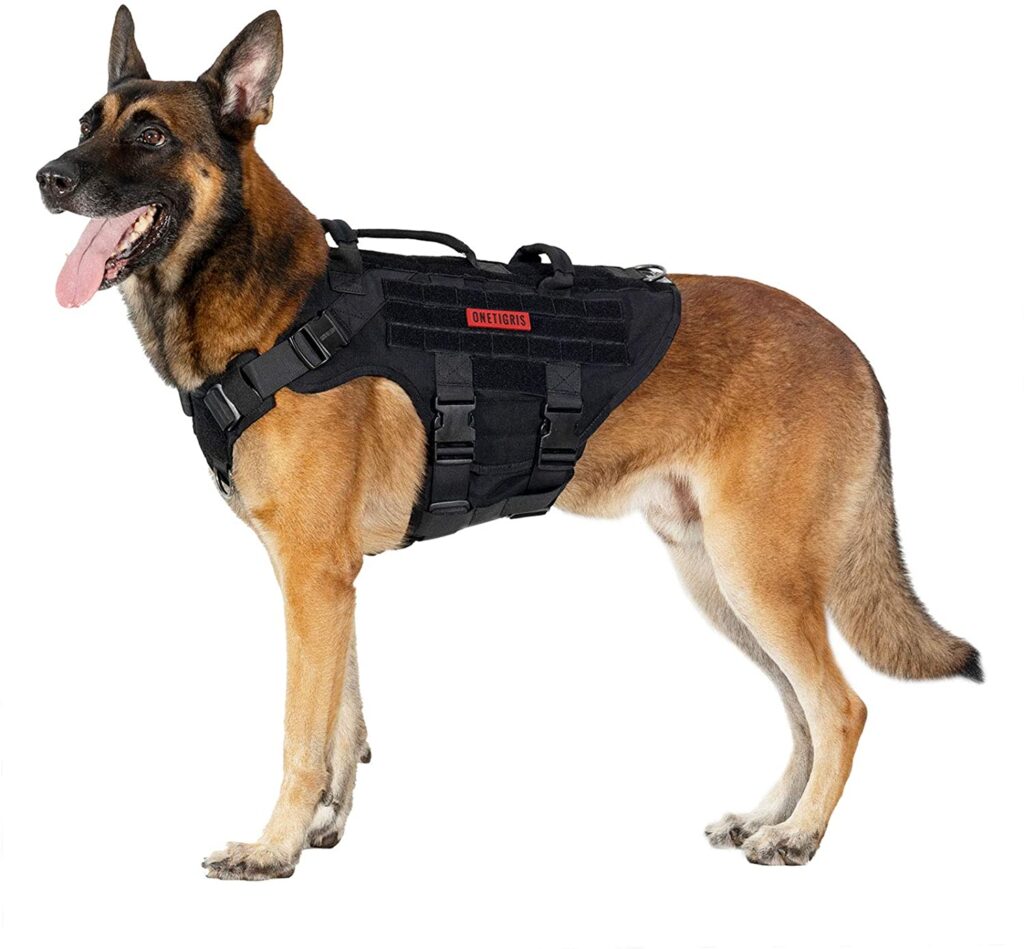 Best Dog Harness