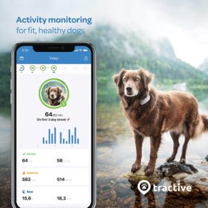 best dog tracker