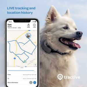 Best dog activity tracker