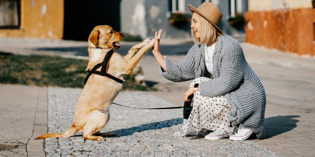 best dog training book