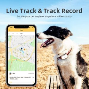 petbiz dog tracker