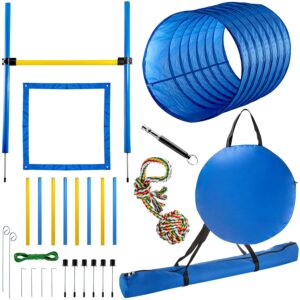 dog agility set