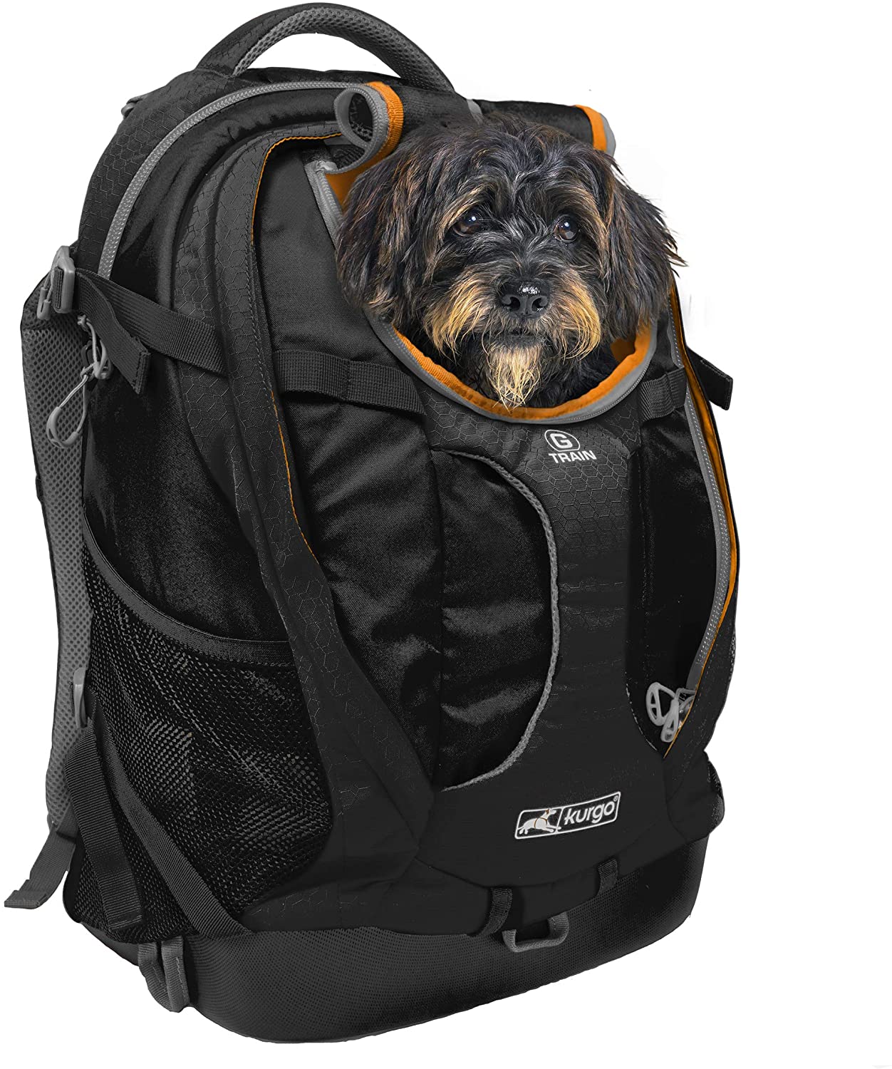 dog backpack for travelling