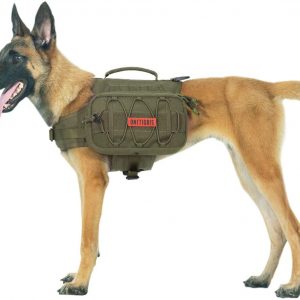 Best Hike Dog Harness