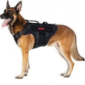 Best Dog Harness